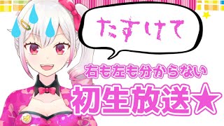 初配信だよ～☆リリー・ミラクルだよ～☆