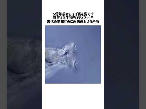 5億年前から続くロティファーの驚きの進化とその未来 サムネイル