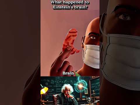 Einstein Brain #shortvideo #einstien #respect #alberteinstein #viralvideo #sigma #brain