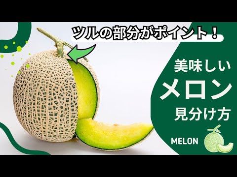 【知らないと損！】美味しいメロンはツルの部分がポイント！スーパーで使えるプロの見分け方