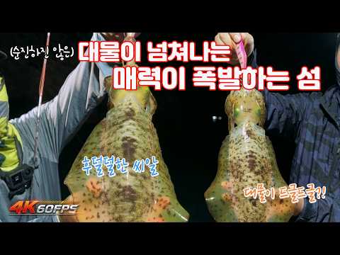꿈에 그리던곳을 오다! 가고싶어도 가기 어려운 씨알급 무늬가 드글드글한 먼 섬에서의 팁런 낚시!!