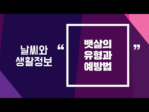 [날씨] 2월22일_뱃살의 유형과 예방법