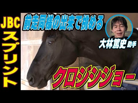 【JBCスプリント2025】クロジシジョー・大林篤史助手インタビュー「高いレベルで安定」「ポイントは4コーナー」《東スポ競馬》
