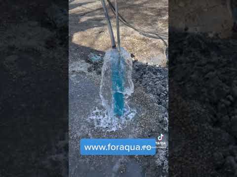 Foraqua Foraje Puturi