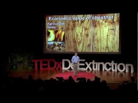 Reviving the American forest with the American chestnut: William Powell at TEDxDeExtinction - UCsT0YIqwnpJCM-mx7-gSA4Q