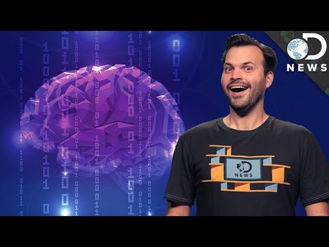 Our Brains Can Store 10x More Than We Thought! - UCzWQYUVCpZqtN93H8RR44Qw