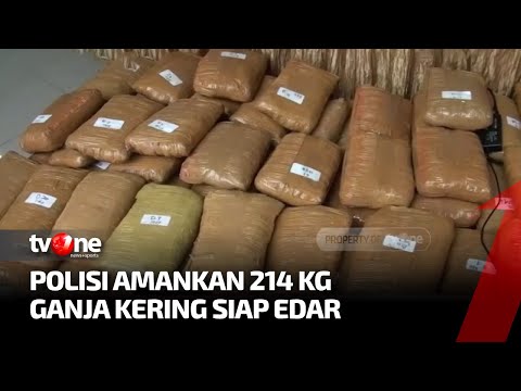 Peredaran 214 Kg Ganja Jaringan Sumatera Digagalkan Polisi TvOne