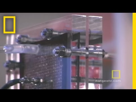 Fuel Cells | National Geographic - UCpVm7bg6pXKo1Pr6k5kxG9A