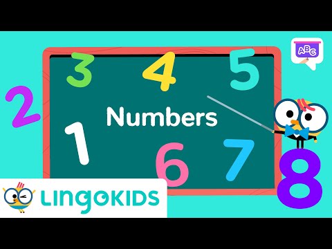 Learn Numbers with Lingokids 🔢🤓| Vocabulary for Kids