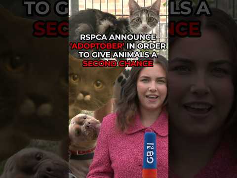 The RSPCA URGENTLY APPEAL for <strong>people</strong> to ADOPT <strong>more</strong> animals!