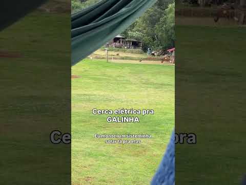 CERCA ELÉTRICA PARA GALINHA CHOQUE BRUTO