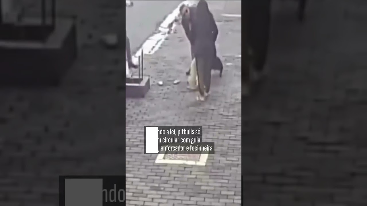 Pitbull sem focinheira ataca e fere cadela da raça shar-pei na zona oeste de São Paulo