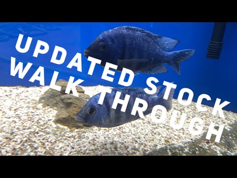 Fish room walk-through 7-23-2023 🔔 Subscribe so you won't miss our next video_ https_//www.youtube.com/c/cunninghamcichlids
🛒 B