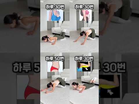 팔뚝살 무섭게 빠지는 소파운동 #흥둥이 #workout