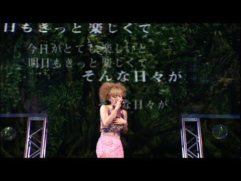 「SEASONS」COMPLETE 2000-2024