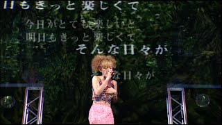 動画サムネイル