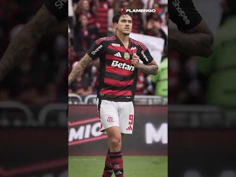 É O NOSSO 9️⃣ BOLADO! #flamengo #flamengotv #diadejogo