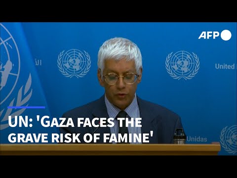 'Gaza faces the grave risk of famine' warns UN, after latest report | AFP
