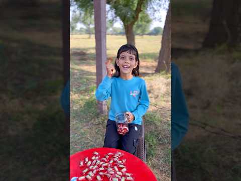 Chocolate sare bikhar gaye 🤣 best video #shorts #viral #youtubeshorts