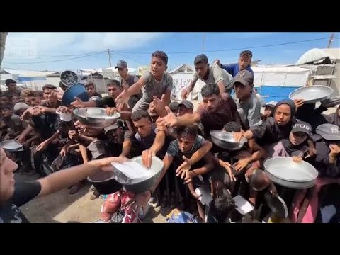 <strong>WFP</strong>がガザ食糧支援50万人分削減　深刻な資金不足で…冬場に向け緊急資金必要と訴え(2026年10月19日)