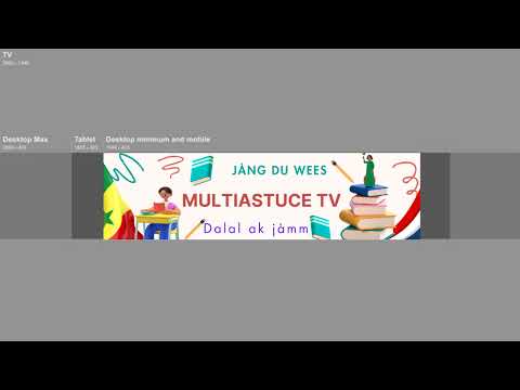 Diffusion en direct de DAKAR 18