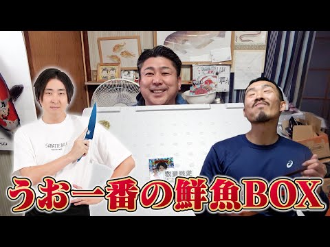 【美味過ぎ注意】うお一番の鮮魚BOXで作る海鮮丼が最高すぎた