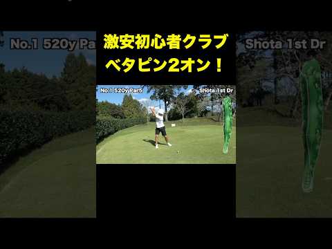 プロが激安初心者クラブ使って2オンイーグル！？　#shorts