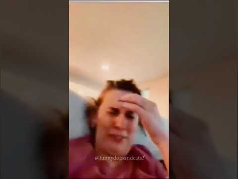 Funny animals. 😂😻😂 #shorts #funny #cat #dog #animals #pets  #Funny video collection.