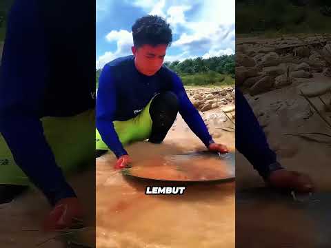 MENGEJUTKAN!! BONGKAHAN EMAS BERSEMAYAM DI BAWA RUMPUT YANG SERING KITA ABAIKAN#faktaunik #shrots