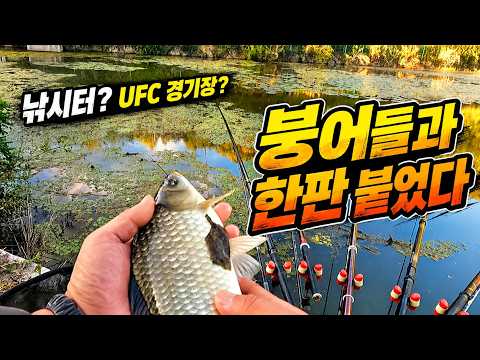 창녕에서 합천까지 붕어찾아...결국 철조망 안에서 UFC 한판
