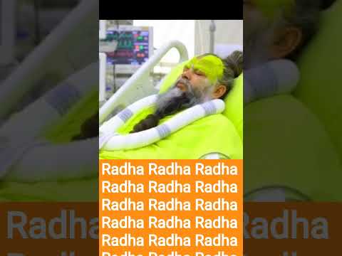 Radha Radha ❤️@PremanandJiMotivationIndia @आचार्य_प्रेमानंद @BhajanKaSahara