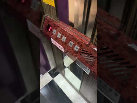 門停了，心臟卻加速了 She holds the door… and me.【暢子妙妙屋SuChang】