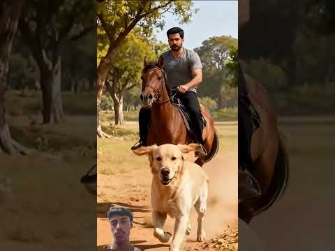 #goldenretriever #goldenretreiver #goldenretreivers #rescueefforts #cute #movie #interstellar