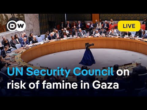LIVE: UN Security Council to discuss  the risk of famine in Gaza | DW News
