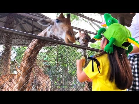 タイの動物園できりんにバナナあげてみた！たーたんねる