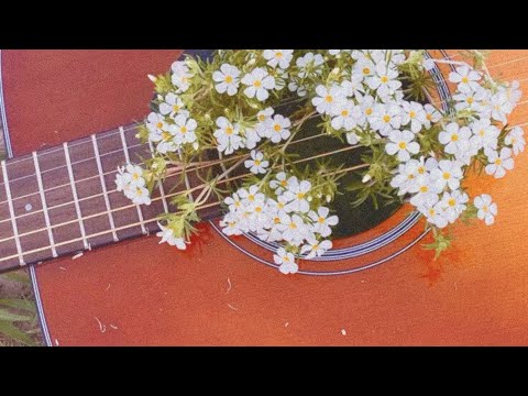 [FREE] Romantic Acoustic Guitar Type Beat | Pop Instrumental | 