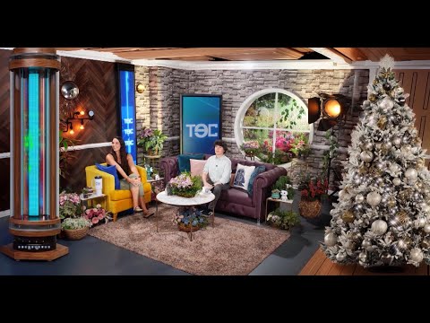 TEC 21 DICIEMBRE PROGRAMA COMPLETO