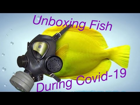 Unboxing 100’s of fish in QUARANTINE! & how the  