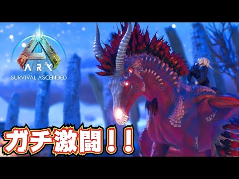 【激闘ッ！】爆速ドレッド・メアをガチンコでテイムッ！！【ARK/ASA】