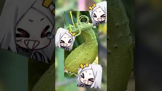 I'm farming, LITERALLY!