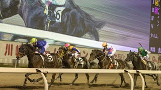 7/13 高知ファイナルで全てを取り戻す【競馬】