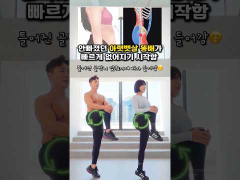 이것만 해도 뱃살이 빠진다구요? #뱃살운동 #오운완 #골반운동 #골반전방경사