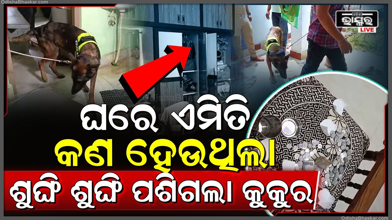 ମୁହଁରେ କଳାକନା ଘୋଡ଼ାଇ ଲୁଟେରାଙ୍କ ସିରିଜ ଚୋରି...୫ଘରୁ ଲୁଟିନେଲେ ଲକ୍ଷାଧିକ ଟଙ୍କା ସହ ସୁନା ଅଳଙ୍କାର....