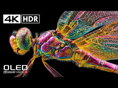 Incredible HDR in stunning 4K at 120 FPS - Dolby Vision (8K / 4K TV)