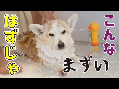せっかくパパが帰ってきたのに地獄でした