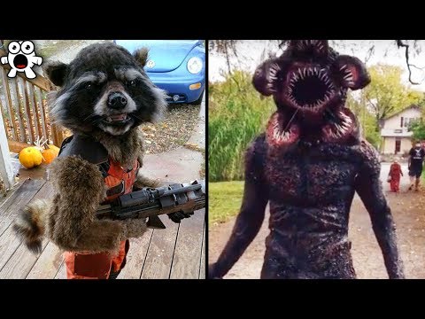 Creative Halloween Costumes People Took To The Next Level - UCkQO3QsgTpNTsOw6ujimT5Q