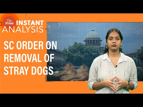 What SC order on removal of stray dogs from Delhi-NCR streets within 8 weeks mean| #InstantAnalysis