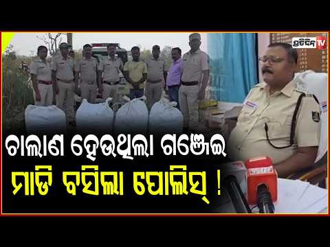ଚାଲାଣ ହେଉଥିଲା ବେଆଇନ ଗଞ୍ଜେଇ, ମାଡି ବସିଲା ଭଞ୍ଜନଗର ପୋଲିସ୍ ! marijuana seized in ganjam