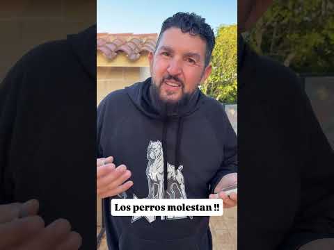 Los perros molestan #perrosdeespaña
