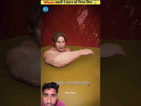 whel machli nai insan ko nigal Liya #facts #cartoon